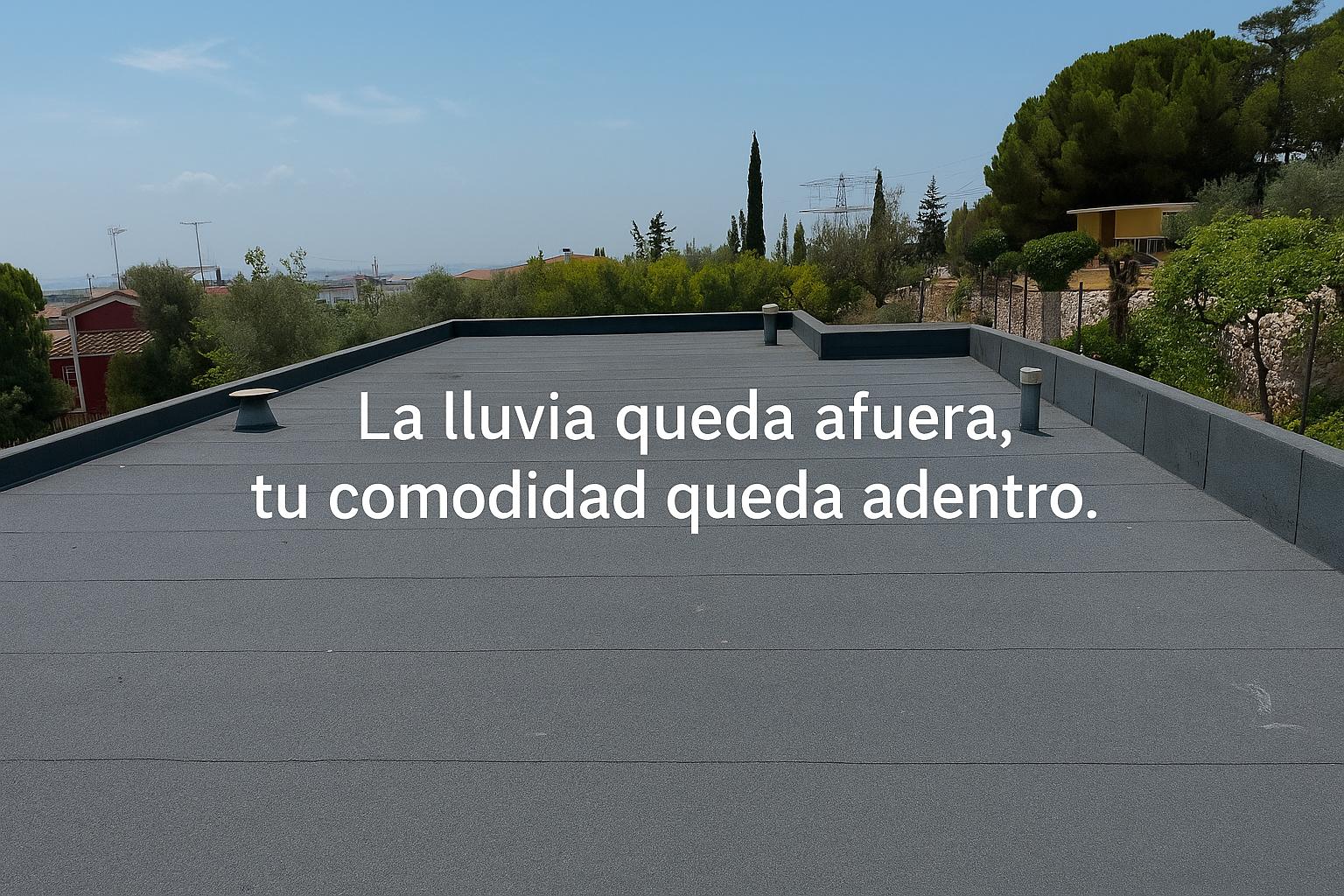 Imagen de WhatsApp 2025-09-14 a las 18.03.52_6fd631ab